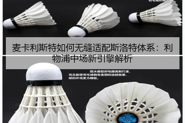麦卡利斯特如何无缝适配斯洛特体系：利物浦中场新引擎解析